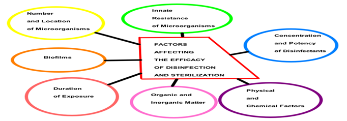 Factors affecting the potency of CIP SIP cleaning agents